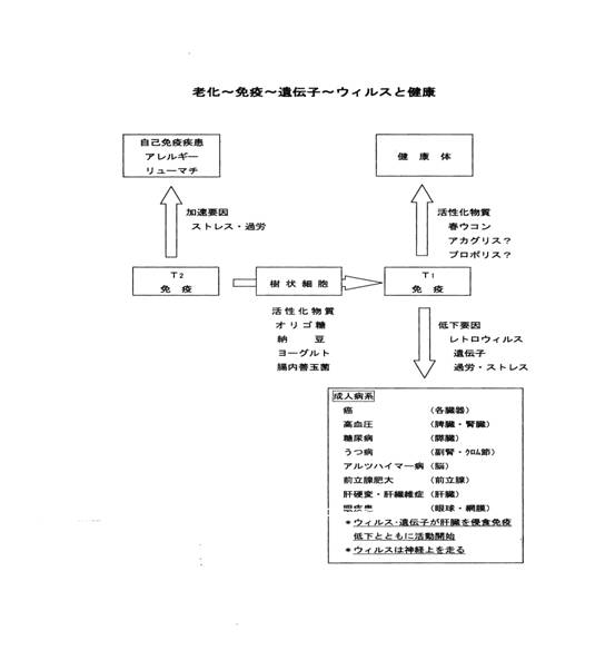 画像の説明