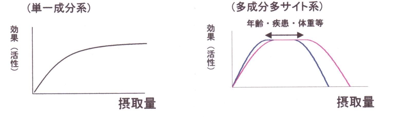 画像の説明