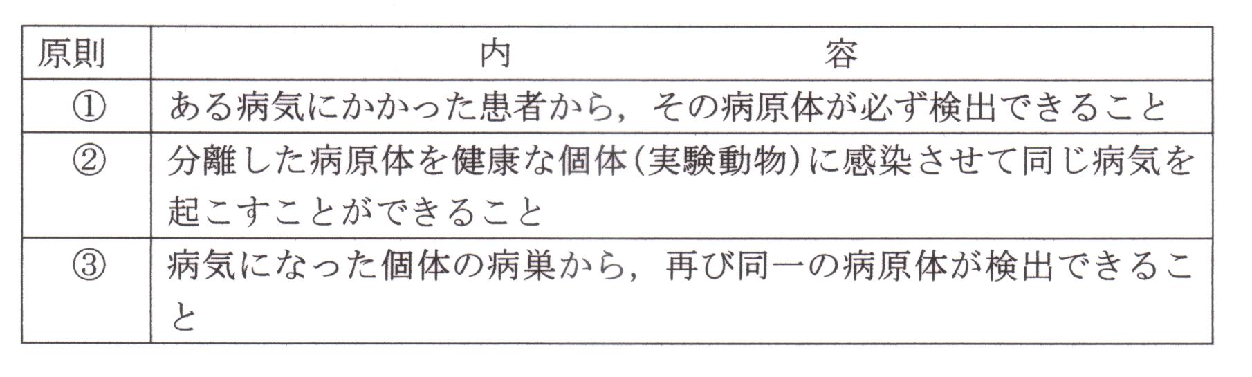 画像の説明
