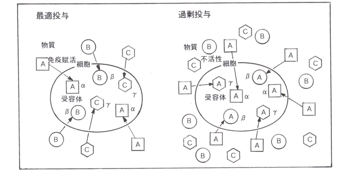 画像の説明