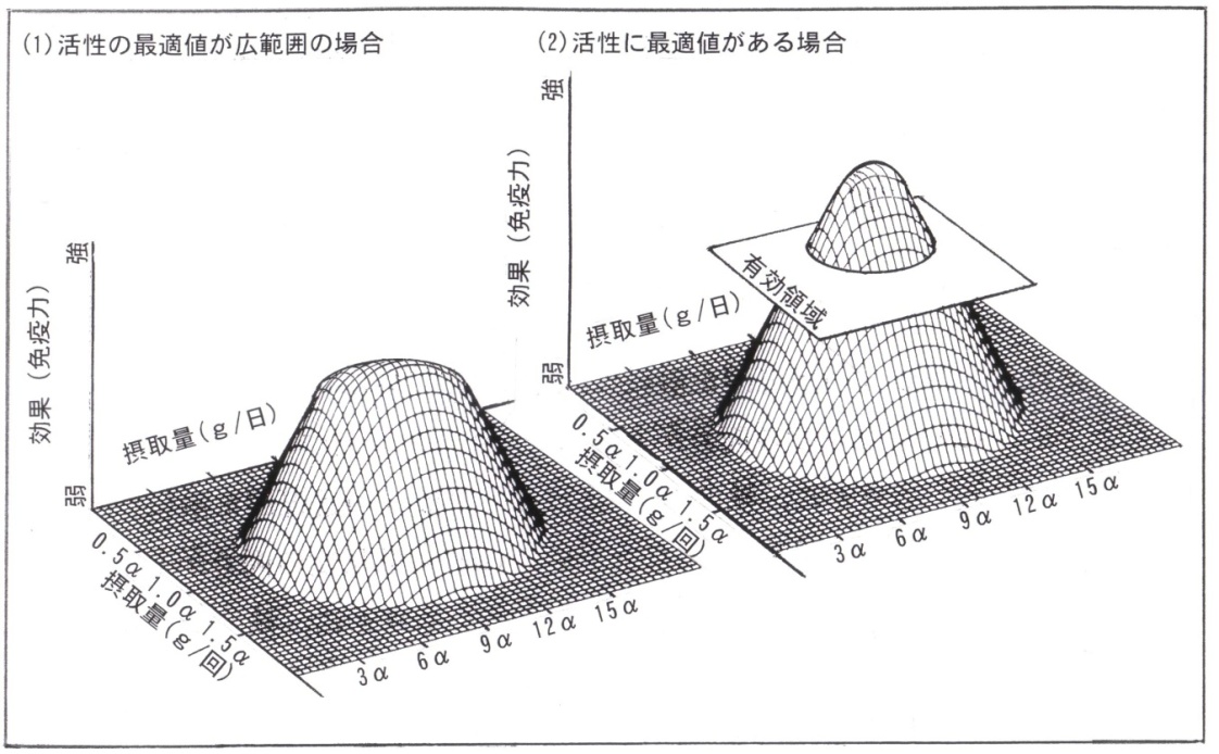 画像の説明