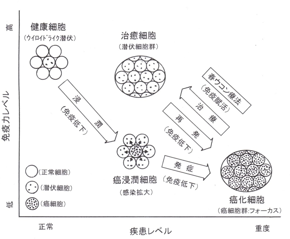 画像の説明