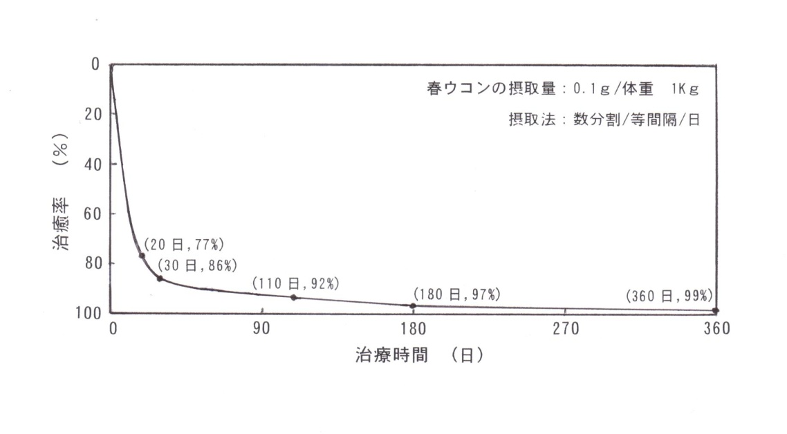 画像の説明