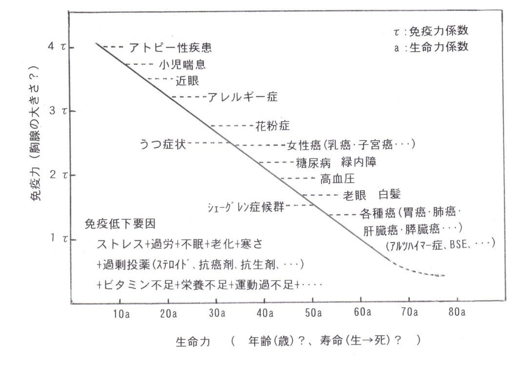 画像の説明