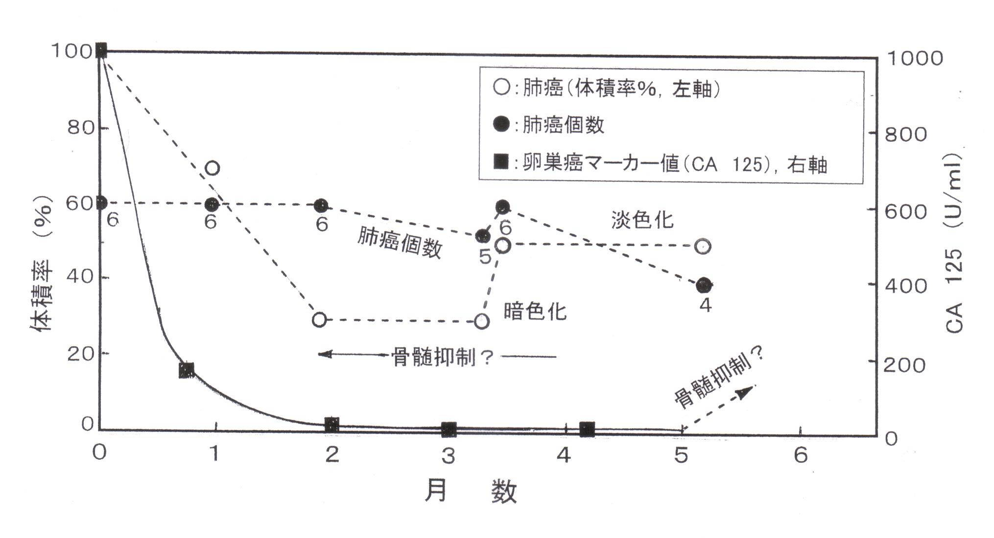 画像の説明